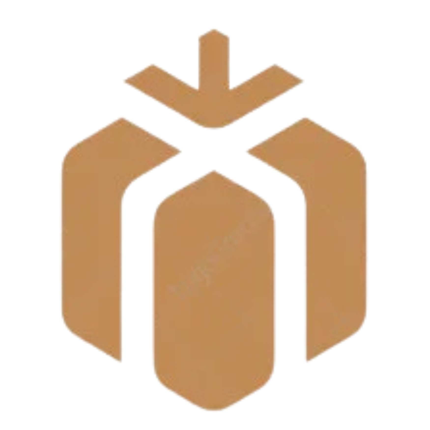 Presentinslagning (svart/guld)