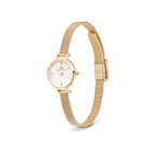 Daniel Wellington Petite Mini Evergold analog damklocka med vit urtavla och armband i rostfritt stål